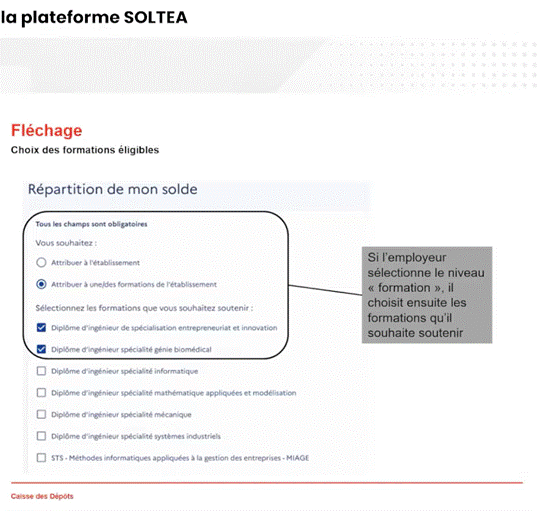 page flechage plateforme soltea